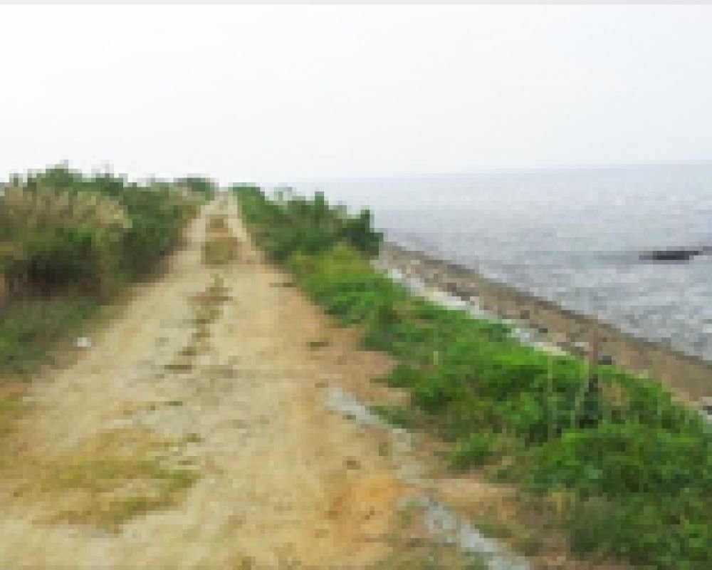 뚝방산책로(강화나들길)